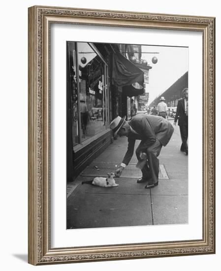 Man Bending over to Touch Cat Sitting on Sidewalk-Nina Leen-Framed Photographic Print