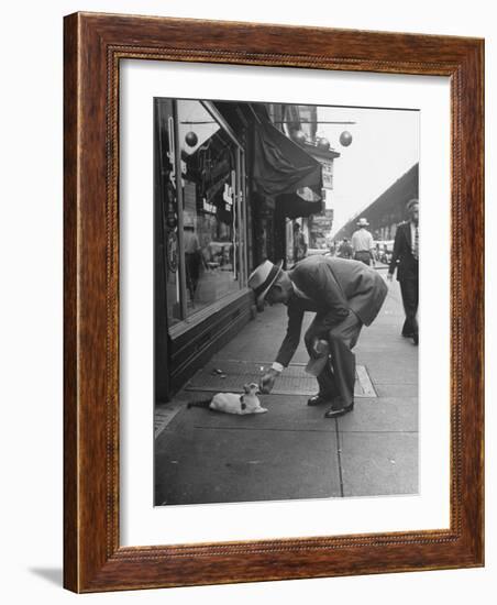 Man Bending over to Touch Cat Sitting on Sidewalk-Nina Leen-Framed Photographic Print