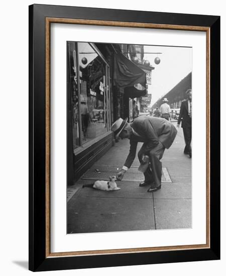 Man Bending over to Touch Cat Sitting on Sidewalk-Nina Leen-Framed Photographic Print