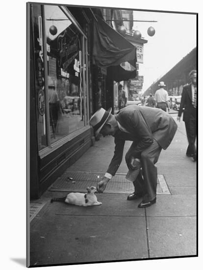 Man Bending over to Touch Cat Sitting on Sidewalk-Nina Leen-Mounted Photographic Print