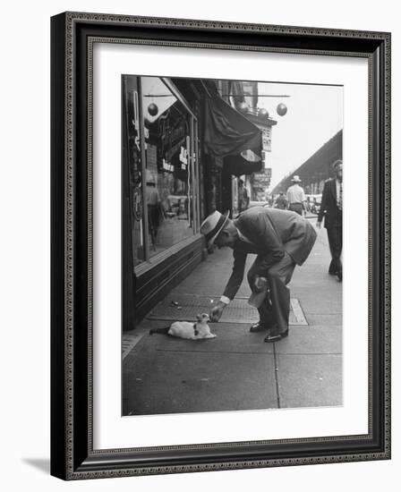 Man Bending over to Touch Cat Sitting on Sidewalk-Nina Leen-Framed Photographic Print