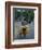 Man Carrying Coconuts on the Back of His Bicycle, Sri Lanka, Asia-Yadid Levy-Framed Photographic Print