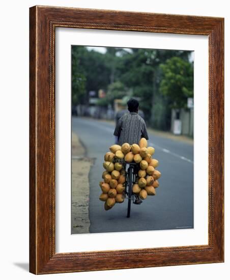 Man Carrying Coconuts on the Back of His Bicycle, Sri Lanka, Asia-Yadid Levy-Framed Photographic Print