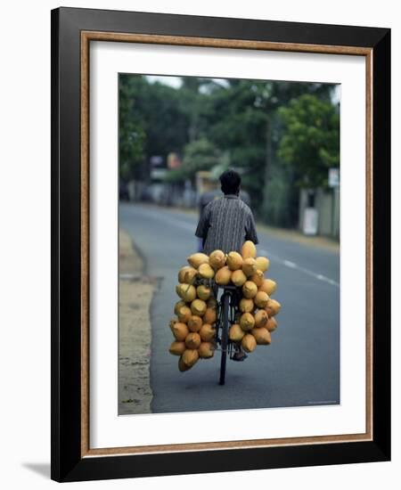 Man Carrying Coconuts on the Back of His Bicycle, Sri Lanka, Asia-Yadid Levy-Framed Photographic Print