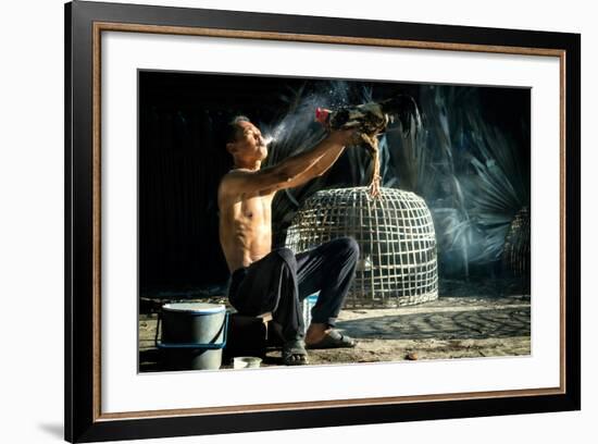 Man Cleaning Thai Gamecock-SantiPhotoSS-Framed Photographic Print