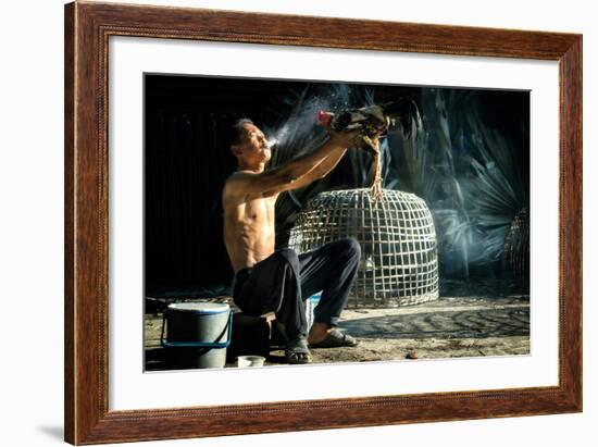 Man Cleaning Thai Gamecock-SantiPhotoSS-Framed Photographic Print