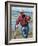 Man Crabbing and Digging for Razor Clams in Sand, Queen Charlotte Islands, Canada-Savanah Stewart-Framed Photographic Print