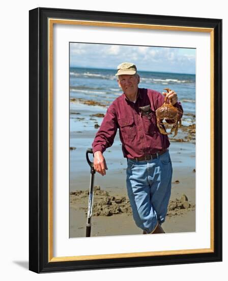Man Crabbing and Digging for Razor Clams in Sand, Queen Charlotte Islands, Canada-Savanah Stewart-Framed Photographic Print