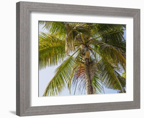 Man cutting palm fronds for thatching in Bali, Indonesia, Southeast Asia, Asia-Melissa Kuhnell-Framed Photographic Print