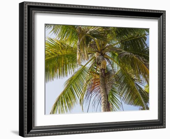 Man cutting palm fronds for thatching in Bali, Indonesia, Southeast Asia, Asia-Melissa Kuhnell-Framed Photographic Print
