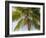 Man cutting palm fronds for thatching in Bali, Indonesia, Southeast Asia, Asia-Melissa Kuhnell-Framed Photographic Print