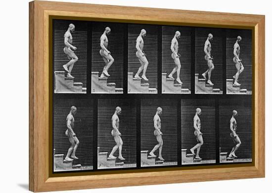 Man Descending Stairs, from 'Animal Locomotion', 1887 (B/W Photo)-Eadweard Muybridge-Framed Premier Image Canvas