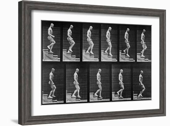 Man Descending Stairs, from 'Animal Locomotion', 1887 (B/W Photo)-Eadweard Muybridge-Framed Giclee Print