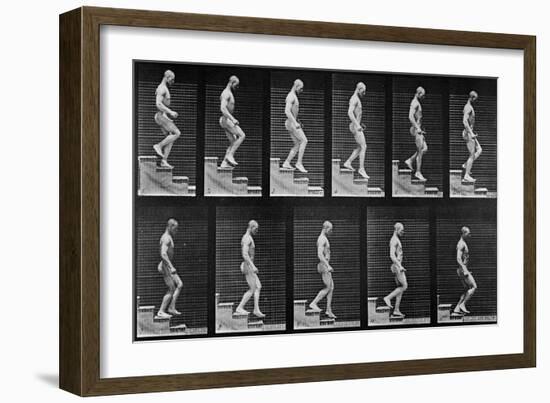 Man Descending Stairs, from 'Animal Locomotion', 1887 (B/W Photo)-Eadweard Muybridge-Framed Giclee Print