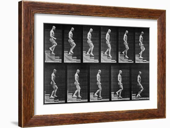 Man Descending Stairs, from 'Animal Locomotion', 1887 (B/W Photo)-Eadweard Muybridge-Framed Giclee Print