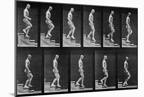 Man Descending Stairs, from 'Animal Locomotion', 1887 (B/W Photo)-Eadweard Muybridge-Mounted Giclee Print