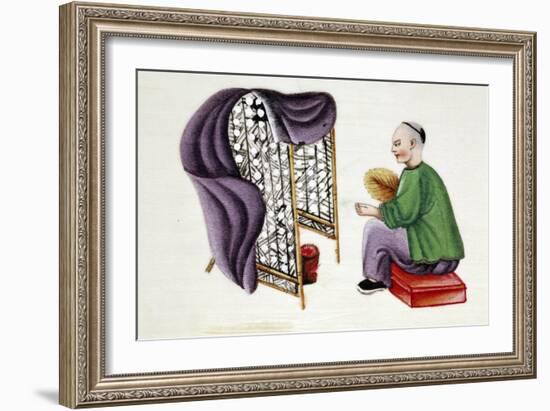 Man Drying Silkworm Cocoons, 19th Century-null-Framed Giclee Print