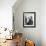 Man Examining a Large Spider, a Tarantula-Alfred Eisenstaedt-Framed Photographic Print displayed on a wall