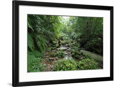 Man Exploring Dense Tropical Jungle And Rainforest Photographic Print By Sam Spicer Art Com