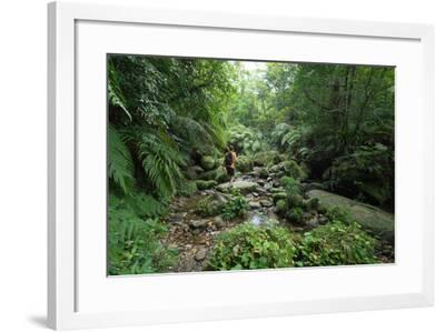 Man Exploring Dense Tropical Jungle And Rainforest Photographic Print By Sam Spicer Art Com
