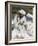 Man Feeding the Famous White Pigeons, Mazar-I-Sharif, Afghanistan-Jane Sweeney-Framed Photographic Print