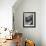 Man Fishing Beside a Waterfall and a 100 Year Old Mill-Bob Landry-Framed Photographic Print displayed on a wall