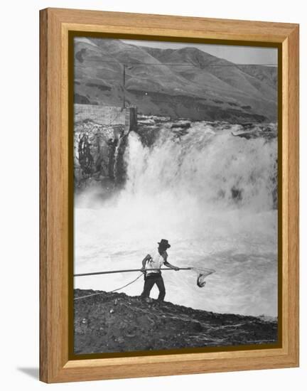 Man Fishing For Salmon in the Columbia River-Peter Stackpole-Framed Premier Image Canvas