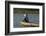 Man fishing from boat on Thu Bon River, Hoi An, Vietnam-David Wall-Framed Photographic Print