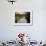 Man Fishing from the Towpath, Worcester and Birmingham Canal, Hanbury, Midlands-David Hughes-Framed Photographic Print displayed on a wall