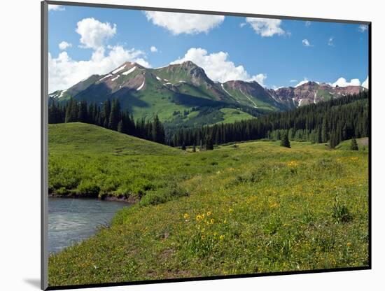 Man Fly-Fishing in Slate River, Crested Butte, Gunnison County, Colorado, USA-null-Mounted Photographic Print