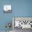 Man Flying Off a Trampoline at Santa Monica Beach-Loomis Dean-Mounted Photographic Print displayed on a wall