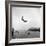 Man Flying Off a Trampoline at Santa Monica Beach-Loomis Dean-Framed Photographic Print