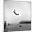 Man Flying Off a Trampoline at Santa Monica Beach-Loomis Dean-Mounted Photographic Print