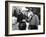 Man From Music Mountain, Gene Autry, Smiley Burnette, 1938-null-Framed Photo