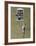 Man Hanging out of Window-Banksy-Framed Giclee Print