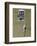 Man Hanging out of Window-Banksy-Framed Giclee Print