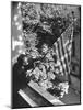 Man Hanging the American Flag Out of the Osteopath's Office Window During WWII-George Strock-Mounted Photographic Print