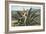 Man Harvesting Maguey Juice for Tequila, Mexico-null-Framed Art Print