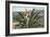 Man Harvesting Maguey Juice for Tequila, Mexico-null-Framed Art Print