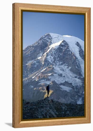 Man Hiking in Mt. Rainier National Park, Washington-Justin Bailie-Framed Premier Image Canvas