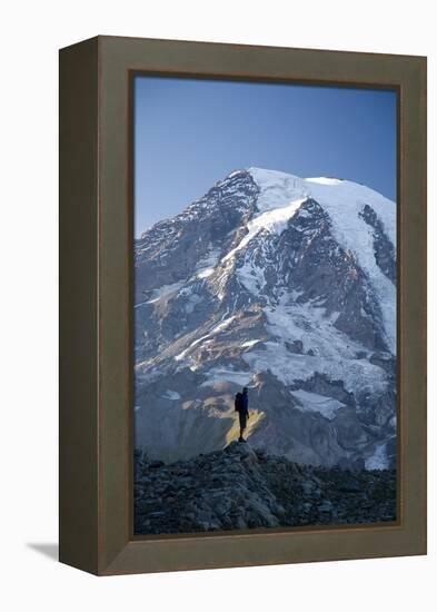 Man Hiking in Mt. Rainier National Park, Washington-Justin Bailie-Framed Premier Image Canvas