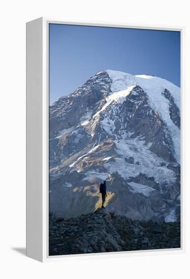 Man Hiking in Mt. Rainier National Park, Washington-Justin Bailie-Framed Premier Image Canvas