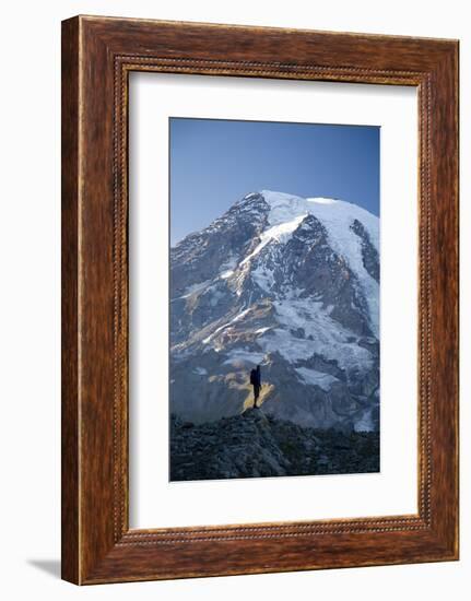 Man Hiking in Mt. Rainier National Park, Washington-Justin Bailie-Framed Photographic Print