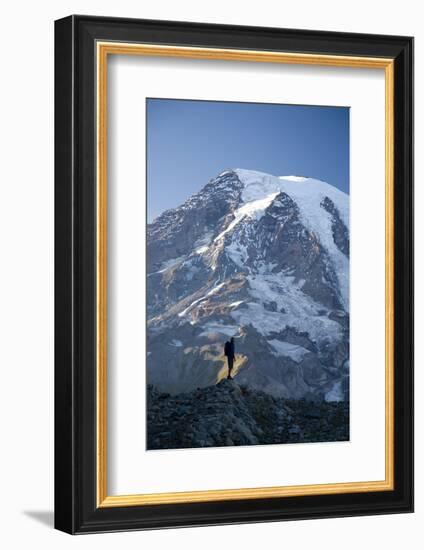 Man Hiking in Mt. Rainier National Park, Washington-Justin Bailie-Framed Photographic Print