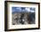 Man hiking in Tiger Leaping Gorge, UNESCO World Heritage Site, with Jade Dragon Snow Mountain (Yulo-Ian Trower-Framed Photographic Print