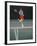 Man Hitting Tennis Ball-Bill Bachmann-Framed Photographic Print