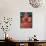 Man in Costume Representing a God at the Teyyam Ceremony, Near Kannur, Kerala, India, Asia-Tuul-Photographic Print displayed on a wall