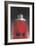 Man in Red Coat (Back View), 2004-Lincoln Seligman-Framed Giclee Print