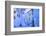 Man in Robe, Chefchaouen, Morocco, North Africa-Neil Farrin-Framed Photographic Print