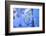 Man in Robe, Chefchaouen, Morocco, North Africa-Neil Farrin-Framed Photographic Print